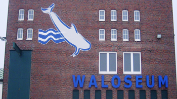 waloseum